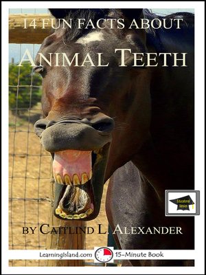 cover image of 14 Fun Facts About Animal Teeth